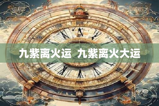 九紫离火运  九紫离火大运