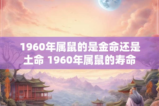 1960年属鼠的是金命还是土命 1960年属鼠的寿命