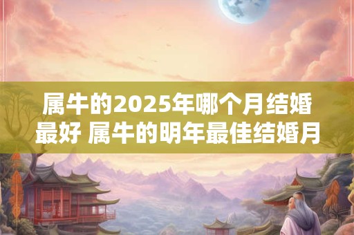 属牛的2025年哪个月结婚最好 属牛的明年最佳结婚月份