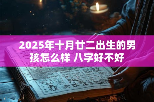 2025年十月廿二出生的男孩怎么样 八字好不好