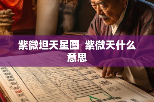 紫微坦天星图  紫微天什么意思