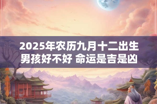 2025年农历九月十二出生男孩好不好 命运是吉是凶