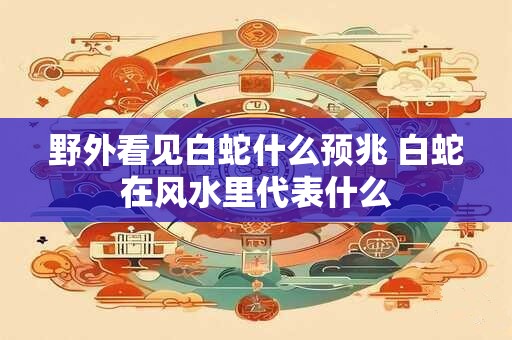 野外看见白蛇什么预兆 白蛇在风水里代表什么
