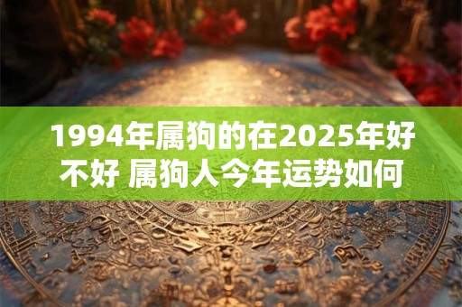 1994年属狗的在2025年好不好 属狗人今年运势如何