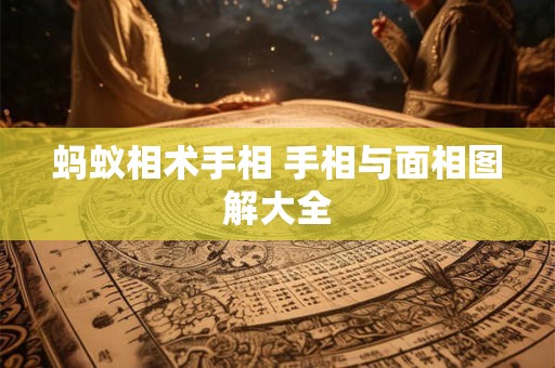 蚂蚁相术手相 手相与面相图解大全