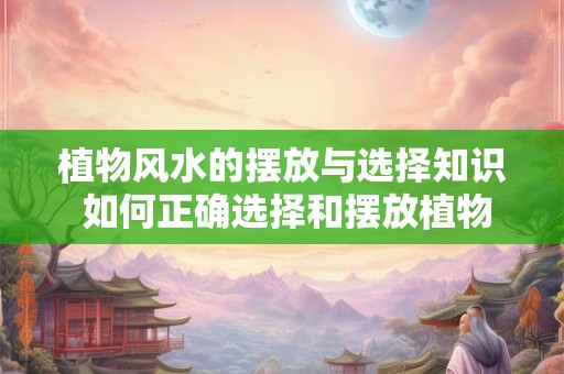 植物风水的摆放与选择知识 如何正确选择和摆放植物进行风水