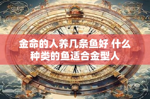金命的人养几条鱼好 什么种类的鱼适合金型人