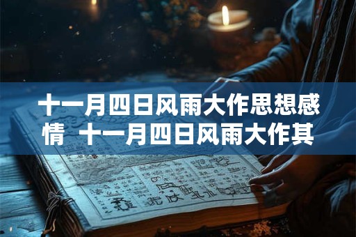 十一月四日风雨大作思想感情  十一月四日风雨大作其二思想感情