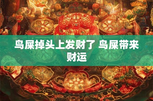 鸟屎掉头上发财了 鸟屎带来财运