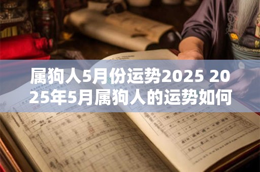 属狗人5月份运势2025 2025年5月属狗人的运势如何