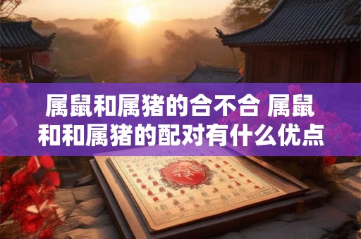 属鼠和属猪的合不合 属鼠和和属猪的配对有什么优点