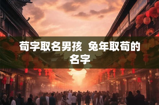 荀字取名男孩  兔年取荀的名字