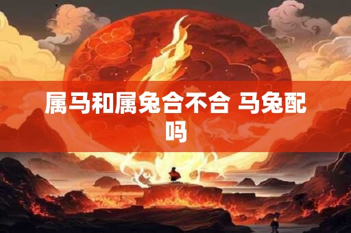 属马和属兔合不合 马兔配吗