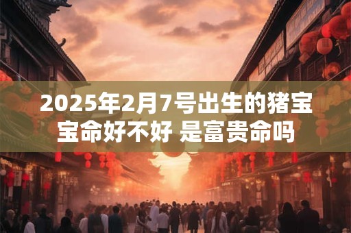 2026年2月7号出生的猪宝宝命好不好 是富贵命吗