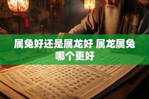 属兔好还是属龙好 属龙属兔哪个更好