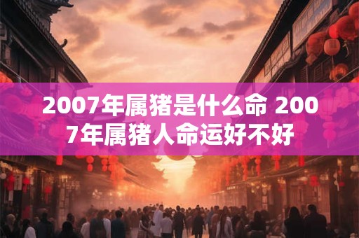 2007年属猪是什么命 2007年属猪人命运好不好