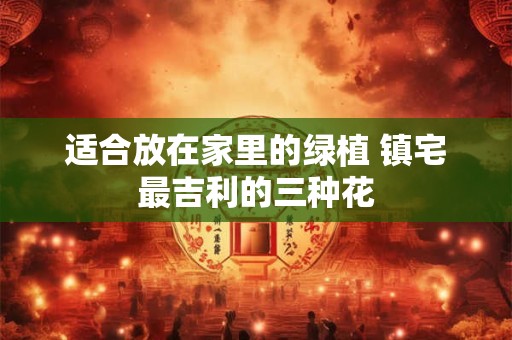 适合放在家里的绿植 镇宅最吉利的三种花 适合放在家里的绿植 镇宅最吉利的三种花