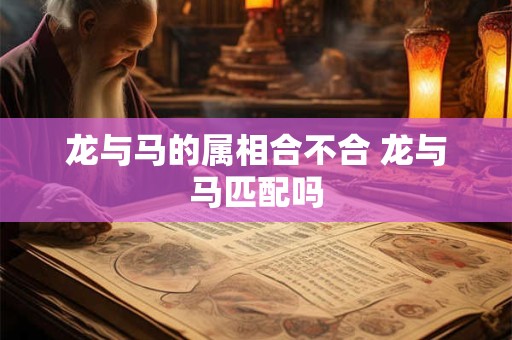 龙与马的属相合不合 龙与马匹配吗