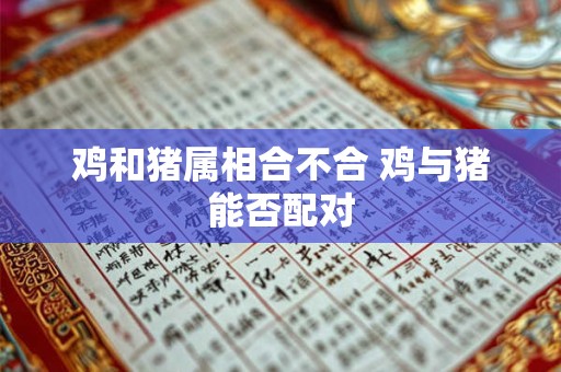 鸡和猪属相合不合 鸡与猪能否配对