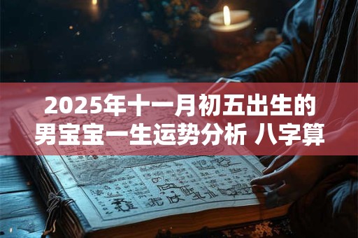 2025年十一月初五出生的男宝宝一生运势分析 八字算命