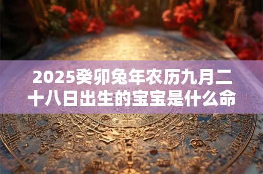2025癸卯兔年农历九月二十八日出生的宝宝是什么命