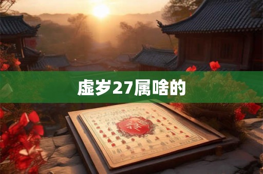 虚岁27属啥的