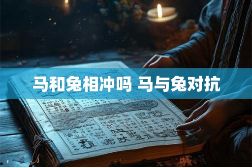 马和兔相冲吗 马与兔对抗