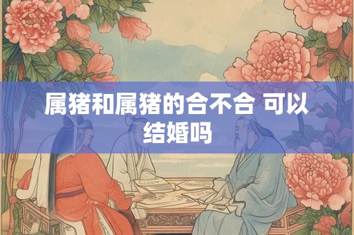 属猪和属猪的合不合 可以结婚吗