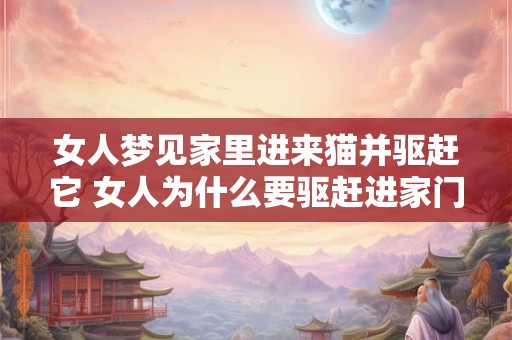 女人梦见家里进来猫并驱赶它 女人为什么要驱赶进家门的猫