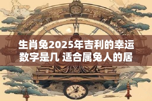生肖兔2025年吉利的幸运数字是几 适合属兔人的居住楼层