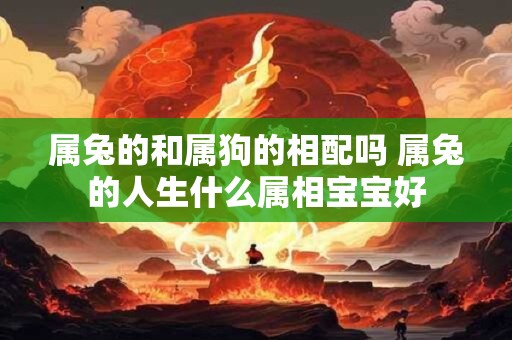 属兔的和属狗的相配吗 属兔的人生什么属相宝宝好