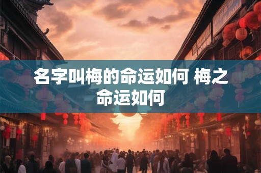 名字叫梅的命运如何 梅之命运如何