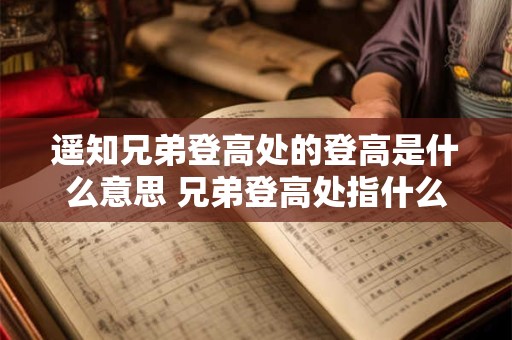 遥知兄弟登高处的登高是什么意思 兄弟登高处指什么