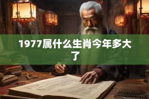 1977属什么生肖今年多大了