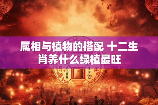 属相与植物的搭配 十二生肖养什么绿植最旺