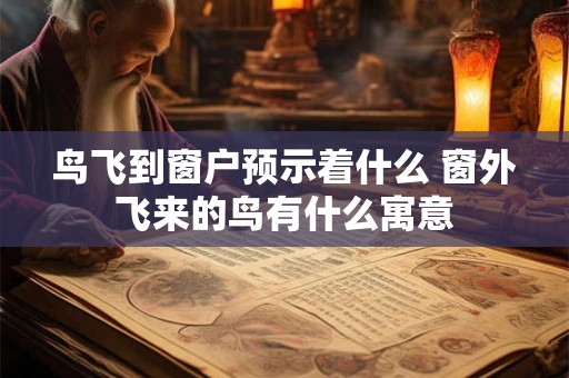 鸟飞到窗户预示着什么 窗外飞来的鸟有什么寓意