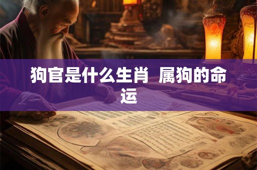 狗官是什么生肖  属狗的命运