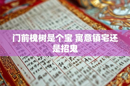 门前槐树是个宝 寓意镇宅还是招鬼