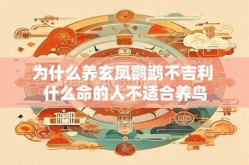 为什么养玄凤鹦鹉不吉利 什么命的人不适合养鸟