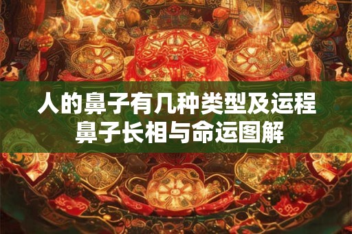 人的鼻子有几种类型及运程 鼻子长相与命运图解