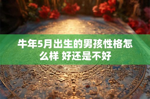 牛年5月出生的男孩性格怎么样 好还是不好