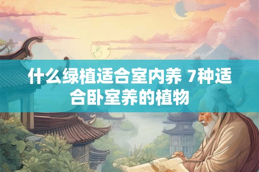 什么绿植适合室内养 7种适合卧室养的植物