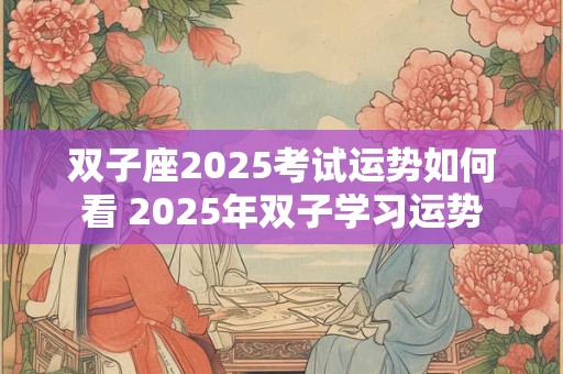 双子座2025考试运势如何看 2025年双子学习运势