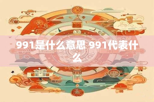 991是什么意思 991代表什么 991是什么意思 991代表什么