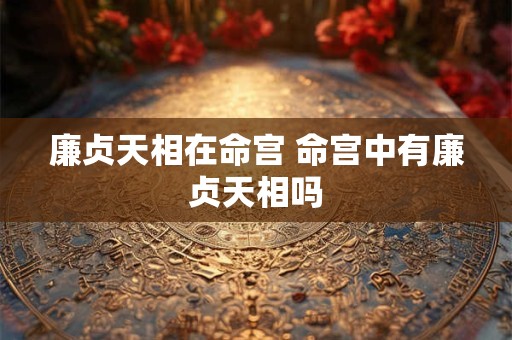 廉贞天相在命宫 命宫中有廉贞天相吗