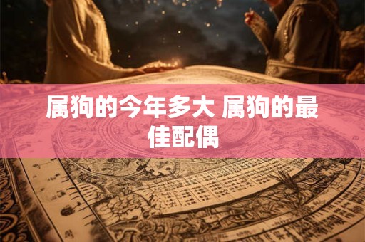 属狗的今年多大 属狗的最佳配偶