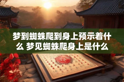 梦到蜘蛛爬到身上预示着什么 梦见蜘蛛爬身上是什么预示