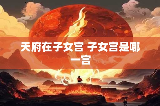 天府在子女宫 子女宫是哪一宫