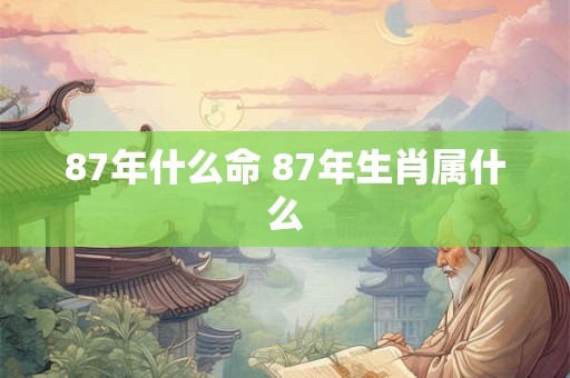 87年什么命 87年生肖属什么