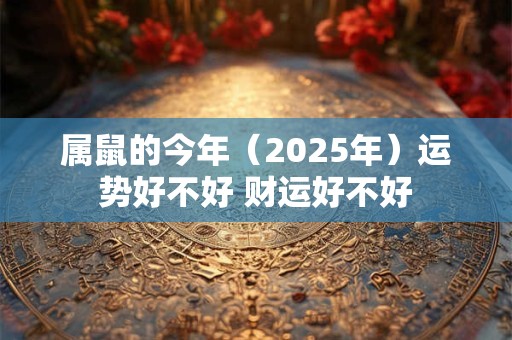 属鼠的今年(2026年)运势好不好 财运好不好 属鼠的今年(2026年)运势好不好 财运好不好
